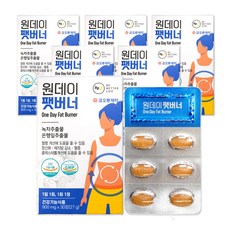 원데이팻버너