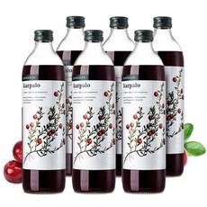 핀란디아뉴캠프