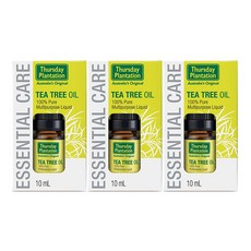 Thursday Plantation Tea Tree Oil 써스데이플랜테이션 100% 티트리 오일 10ml 3팩, 1박스