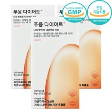 닥터블릿 푸응 다이어트 가르시니아 차전차피, 120g, 3박스