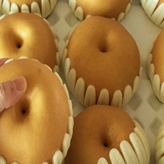 참과일 유명산지 나주 신고배(가정용)햇배, 1박스, 7.5kg 8-13과
