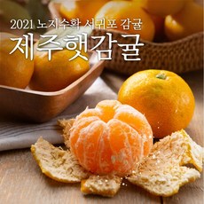 [믿고먹는] 제주 서귀포 조생 타이백 감귤 한라봉 3kg 5kg 10kg 과일 선물세트, 타이백 감귤 5kg