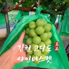 당도선별 김천 고당도 샤인머스켓, 1박스, 2kg(4송이)