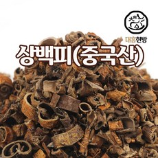 기관지염약초