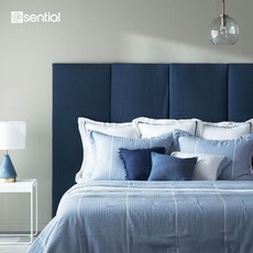 앳센셜렌징모달