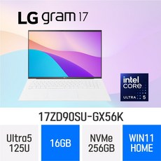 LG전자 2024 그램17 17ZD90SU-GX56K