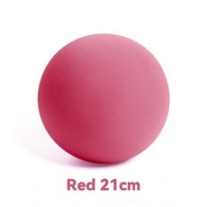 브라이트스타트대여