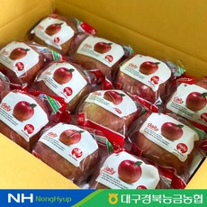 대구경북능금농협 경북 데일리 세척사과(부사) 3kg(12~16과) -인증