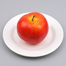 사과모형