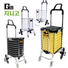지니고