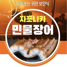 54baeb30253944524fb71e9a876ced4aeb4546e1fece1851afae00324099.jpg