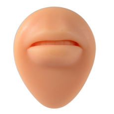 실리콘입술모형
