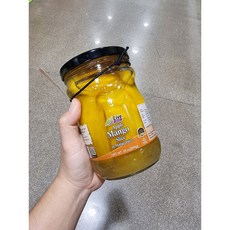 트레이더스애플망고