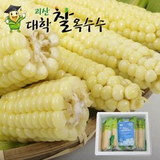 18센티이상 특A품 괴산대학찰옥수수 냉동/최상품, 15개입, 찐거 특품_알이꽉