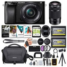 Sony Alpha a6100 APS-C Mirrorless ILC with 16-50mm and 55-210mm Lenses Bundle (8 Items), One Color_One Size, 상세 설명 참조0, 상세 설명 참조0