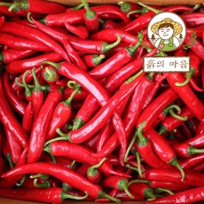 22년홍고추가격