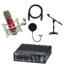 스테인버그오인페