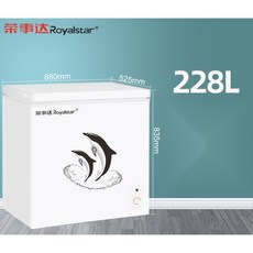 캐리어냉동고300