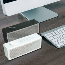 jbl30핀스피커독