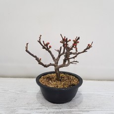 신라조경농원