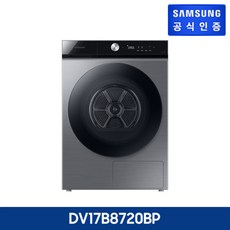 삼성전자 비스포크 그랑데 AI 건조기 실버 17kg DV17B8720BP, 없음
