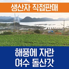 여수돌산갓 생갓 10kg 1개