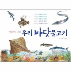 물고기백과사전