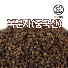 백운팜복분자