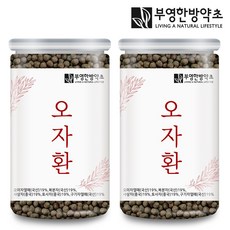 부영한방약초 오자환 구기자 오미자 복분자 사상자 토사자, 300g, 2개