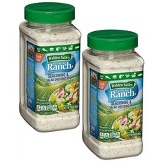 Hidden Valley Ranch Seasoning Salad Dressing Mix 히든밸리 랜치 시즈닝 앤 샐러드 드레싱 믹스 453g 2팩