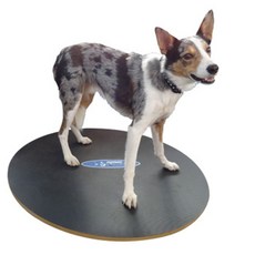 fitpaws