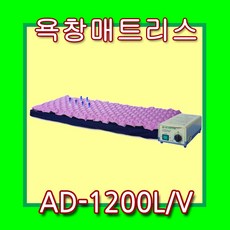 영원ad1200