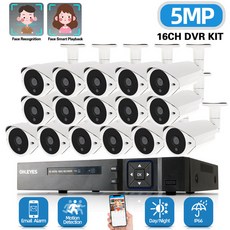 영어 설명서 16채널 DVR 키트 5MP 8CH CCTV IP DVR 홈 보안 카메라 시스템 키트 아웃도어 AHD 탄환 카메라 비디오 모니터링 키트 16CH 2MP, 없다, 유럽 연합 플러그, 16채널 dvr 16개의 캠, 1개