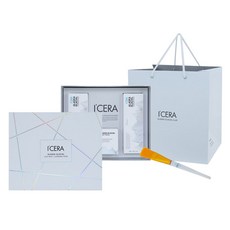 영양보습 모공케어 피부관리 클렌저 패밀리 세트 [머드팩+클렌징폼x2], 단일상품