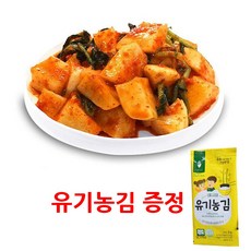 종가집 총각김치, 5kg, 1개