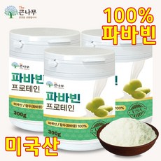 The큰나무 파바빈 프로테인 식물성 단백질 분말 자이언트 파바빈 콩, 300g, 3개