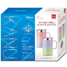 맥심 카누 아이스블렌드 아메리카노 미니 100T, 100개