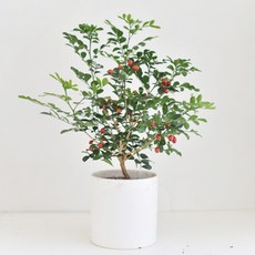 328b010f392f7d590619cf3610d1700bb58250e4769d29c229b4513250c7.jpg