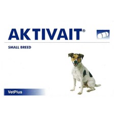 액티베이트소형견
