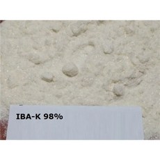 인돌 3 부티르산 iba k 98 500g, 1개