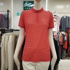 크로커다일보정