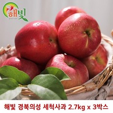 추천93월제철과일