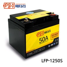 lfp배터리