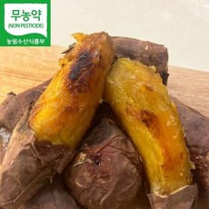 전남 무안 무농약 고당도 꿀고구마 3kg 5kg 산지직송