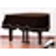 185그랜드피아노커버
