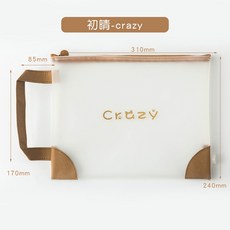 보테가베네타종이가방