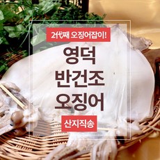 [오바다푸드팩토리]반건조오징어/산지직송/2대째운영 소소/소/대/특/왕특/왕왕특 10미, 소소 600g(10미)