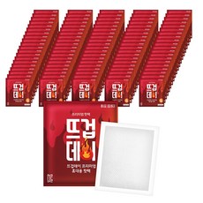 더나은 뜨겁데이 미니 붙이는 핫팩 22g, 100개