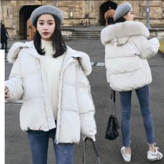 내셔널지오그래픽한국판