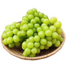 산지직송샤인머스켓1kg